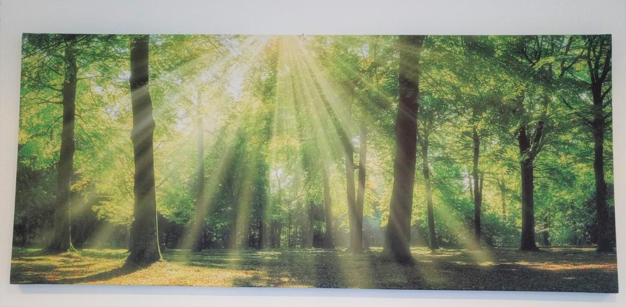 Ferienwohnungen Im Dorfe Soltau Exteriör bild